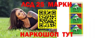 ешки Сланцы